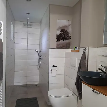 Bauernhof Neu Modernes Ferienhaus Hohensayn